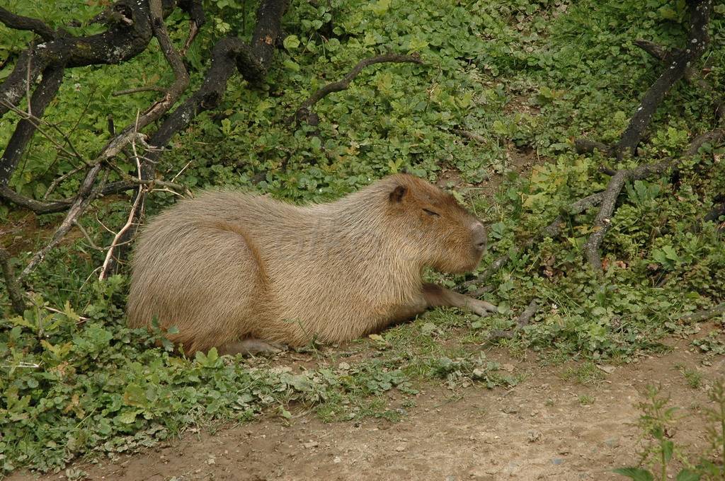DSC_3444.JPG - WWW.OTKO.SK