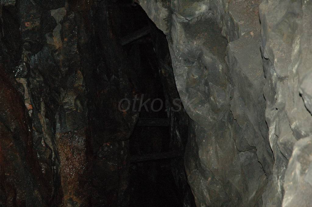 DSC_3014.JPG - WWW.OTKO.SK