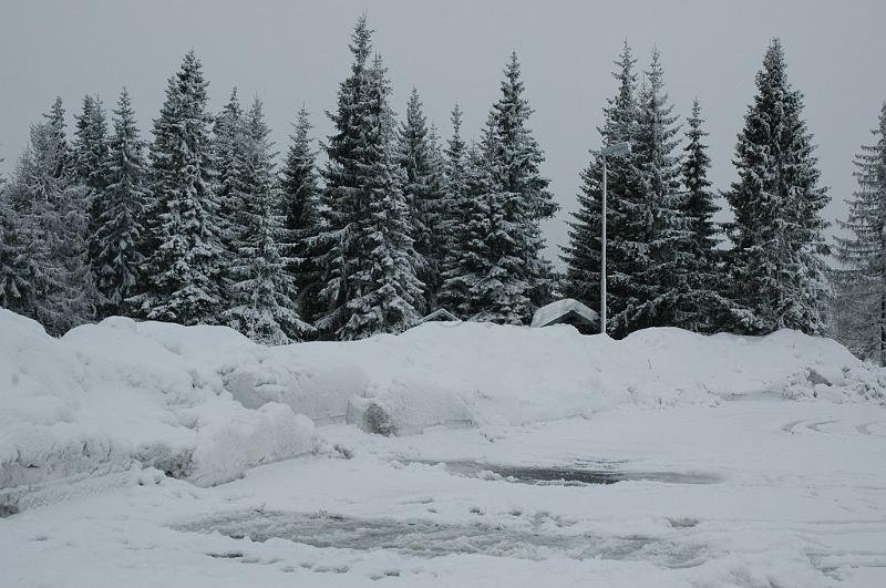 DSC_8352.JPG - Lygnasaeter