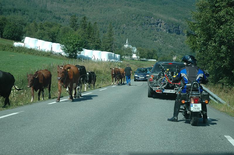 DSC_1178.JPG - Vangsmjosa