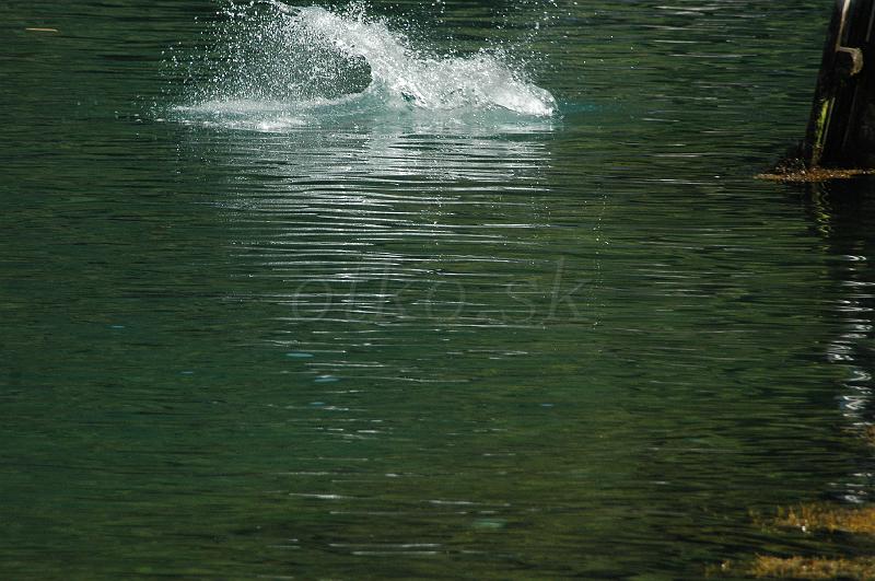 DSC_1287.JPG - Laerdalsoyri