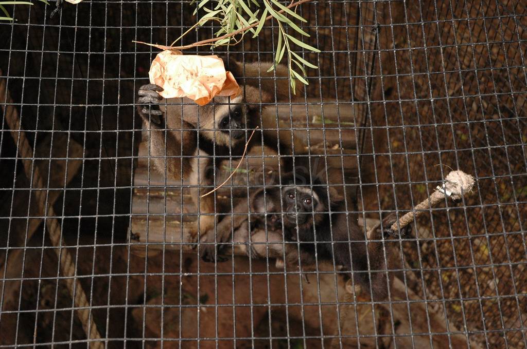 DSC_6746.JPG - WWW.OTKO.SK