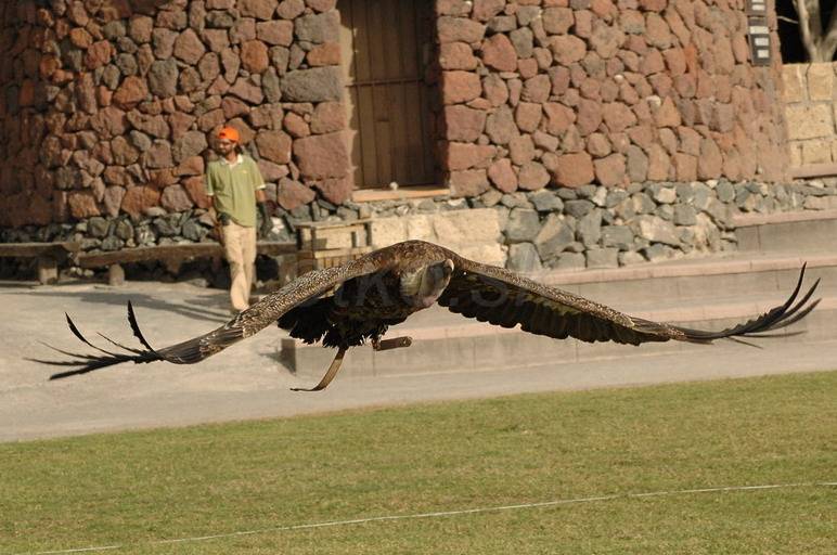 DSC_7080.jpg - WWW.OTKO.SK