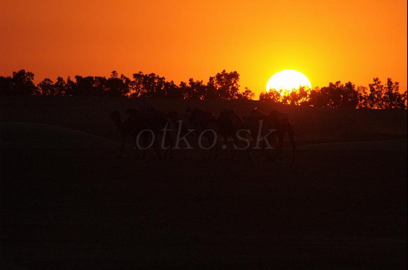 DSC_3805.jpg - WWW.OTKO.SK