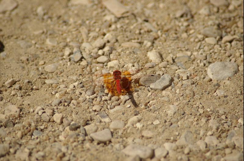 DSC_3997.jpg - WWW.OTKO.SK